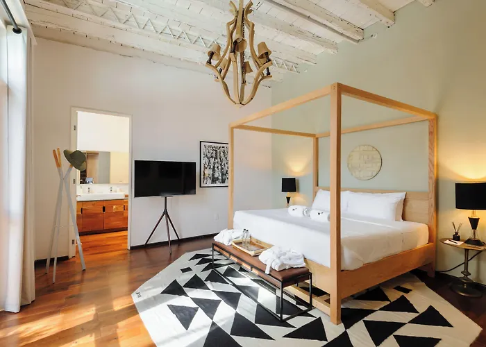 Casa Wynwood Roma Norte Mexico City